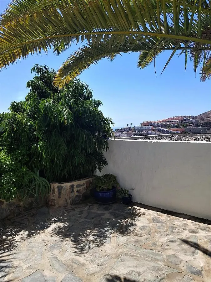 Casa La Palmera - Holiday House Close To The Beach Arguineguin 0*,
